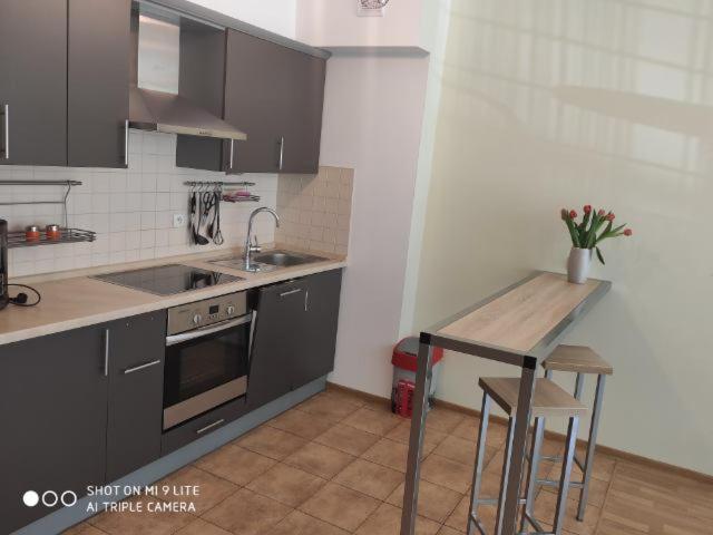 Luxapartament 3 - Z Duzym Tarasem I Garazem W Zeta Park Ustroń Eksteriør billede